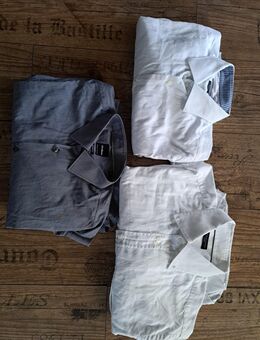 3× Hemden Tommy Hilfiger und strellson - Dortmund