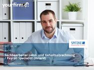 Sachbearbeiter Lohn- und Gehaltsabrechnung / Payroll Specialist (m/w/d) - Großbeeren