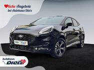 Ford Puma, 1.0 EcoBoost Mild-Hybrid ST-Line, Jahr 2024 - Neuberg