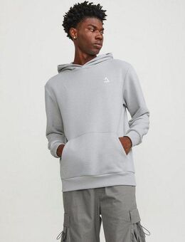 Jack & Jones Kapuzensweatshirt JCOTRIANGLE SWEAT HOOD SN