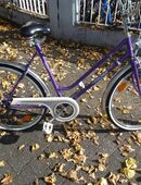 (112) 3 Gang Rücktrittsbremse 26 Zoll Rh 52 in 55128