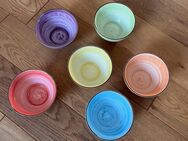 6 bunte Schalen/Schüsseln 850 ml aus Steingut - Issum