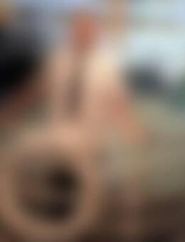 Fra*** - Oberdiebach