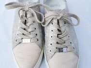 Ara Sneaker Freizeit Schnürer taupe Gr. 39 / 6 Echtleder - wie neu - Recklinghausen