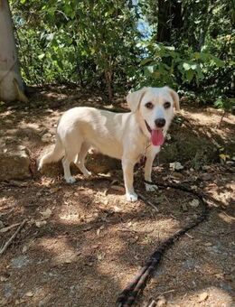 Freundliche verspielte DOLLY sucht ♥️ - München
