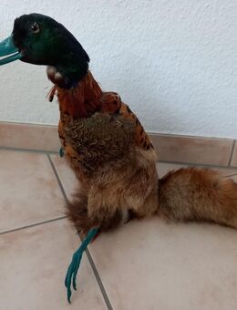 Wolpertinger - Göttingen