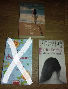 Julie Harris-Träume von der Ewigkeit und Erica Fischer-Mein Erzengel (Mängelexemplar)€ 2,-TB - Euskirchen Zentrum