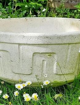Große Vintage Beton Pflanzschale aus den 60er Jahren - Niederfischbach