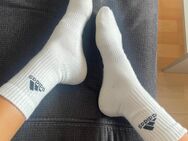 Socken getragen - Offenbach (Main)