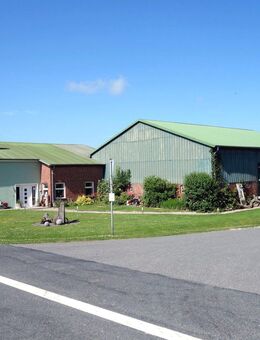 Beste LAGE, guter ZUSTAND, schöner CHARAKTER: Gepflegter Resthof in Friedrichskoog / Nordsee - Friedrichskoog
