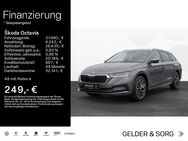 Skoda Octavia, 2.0 TDI Combi Style, Jahr 2024 - Haßfurt