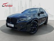 BMW X4 30d M Sport Standheiz. Pano AHK Kamera - Kirchendemenreuth