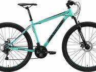 Bikestar Mountainbike, 21 Gang Shimano RD-TY300 Schaltwerk, Kettenschaltung, für Damen und Herren, Kettenschaltung