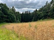 Rarität! Bauernhaus Top hergerichtet !Herrliche Alleinlage mit Kleintierhaltung - Reut