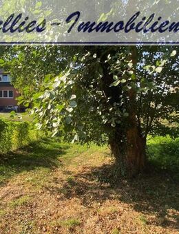 Zweifamilienhaus im Wendland - Bergen (Dumme)