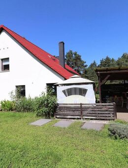 Großzügiges Einfamilienhaus mit großem Grundstück & Waldanteil in Theeßen - Möckern (Sachsen-Anhalt)
