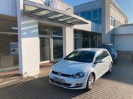 VW Golf, 1.2 TSI VII Cup Comfortline, Jahr 2015 - Pasewalk