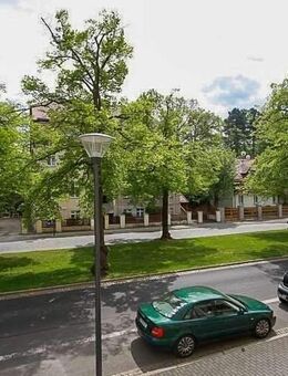 2 Wohnungen in der Görlitzer Innenstadt! - Görlitz