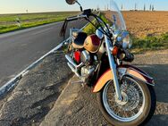 VT 750 C2 Shadow Honda Cruiser - Hünstetten