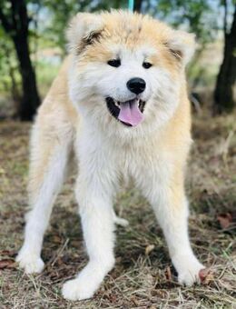 WARiS unsere Wüstenblume 😍 - Mylau