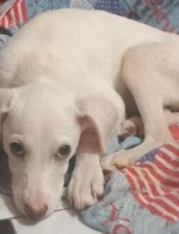 LESY🧡🧡🧡schönes Plätzchen gesucht - Bad Karlshafen