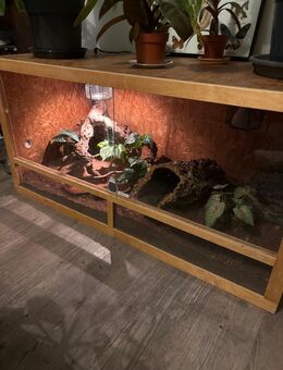 Terrarium 120x60x60 - Hamburg