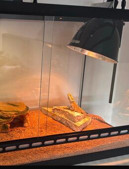 Bartagame - Erbendorf