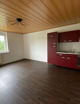 Kleine praktische 1-Raum-Wohnung mit EBK - Ostritz