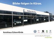 VW Golf, 2.0 TDI Life VIII, Jahr 2020 - Eckernförde