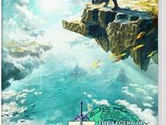 The Legend of Zelda: Tears of the Kingdom Nintendo Switch