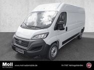 Fiat Ducato, Maxi Grossr Kasten 35 140 L4H2 4035 Multijet EU6d, Jahr 2022 - Euskirchen