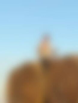 Luk*** - Wildberg (Baden-Württemberg)