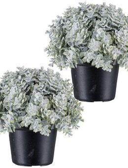 Kunstpflanze Eukalyptus, Creativ green, Höhe 13 cm, in Kugelform