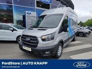 Ford Transit, Trend Kasten 350 L3 WERKSTATTAUSBAU Würth Spurhalteass Notbremsass, Jahr 2023 - Weinheim