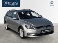 VW Golf, 1.5 TSI Var Comfortline, Jahr 2019 - Winsen (Luhe)