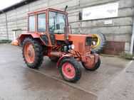 Belarus MTS 570, Bj.90, 2251 Std. Traktor, Trecker - Boitzenburger Land