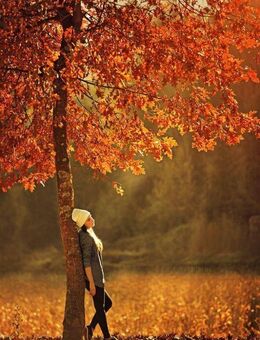Herbstfotoshooting vom Fotografen *kostenlos* - Erbach Zentrum
