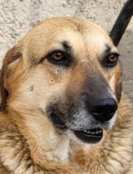 Bezaubernde Sersi wartet auf Dich! - Hamburg