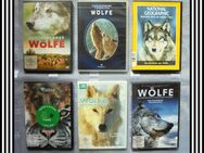 Hundewissen kompakt ... Hund und Stammvater Wolf ... 7 DVD's - Frankfurt (Main)