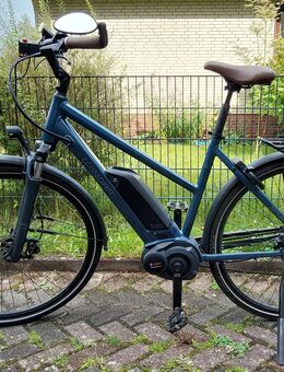 e-Bike Pedelec, Winora Tria 8 von 2018, nur 1300 km Laufleistung - Pinneberg