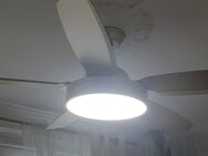 Malerarbeit / Handwerker / Hausmeister - Berlin