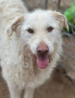 HAKUNA - so hübsch und so nett - Dänischenhagen