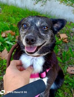 DORA ❤️ ein gebrochenes Herz - Fahrenzhausen