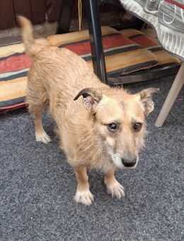 Hettike in 92237 Sulzbach-Rosenberg ° - Wolfhagen