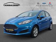 Ford Fiesta, Edition Notbremsass Vorb Berganfahrass Winterpaket Kollisionswarner, Jahr 2014 - Bremerhaven