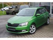 Skoda Fabia 1.0l Active.Klima.Bluetooth.Shz.8xRäder - Frankenberg (Sachsen)