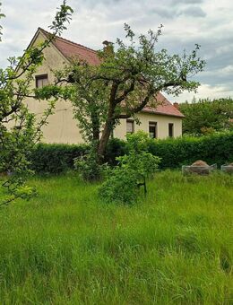 Einfamilienhaus in traumhafter Lage von Brösa /OT Guttau /Gemeinde Malschwitz - Malschwitz