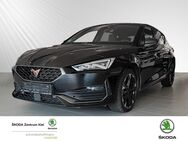 CUPRA Leon, 1.5 eTSI Basis, Jahr 2023 - Kiel