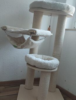 🐾 Original Woody S von Kratzbaumland 🐾 - Calbe (Saale)