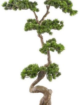 Kunstbonsai Bonsai Kiefer, Creativ green, Höhe 125 cm, mit elegantem Stamm